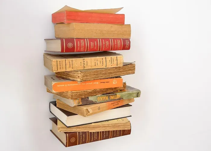 Chic & Cozy - Bolhao Oporto